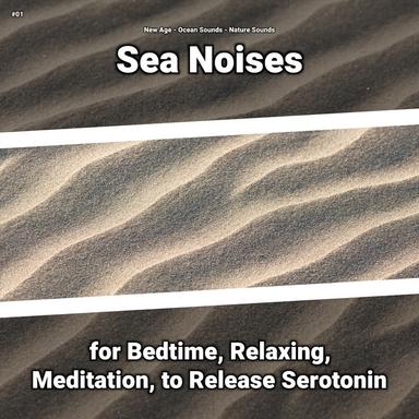 Ocean Sounds for Joy