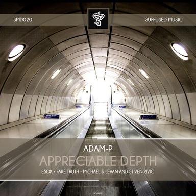Appreciable Depth - Fake Truth Remix