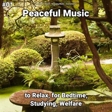 Calming Music for Sleep