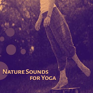 Ambient Nature Sounds