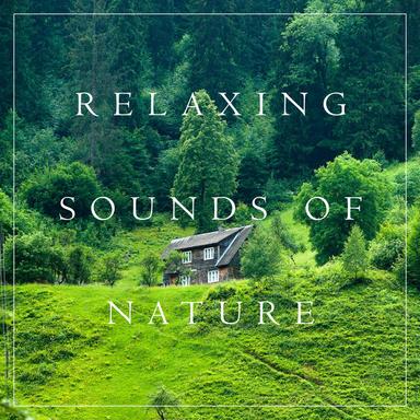 Countryside Ambience
