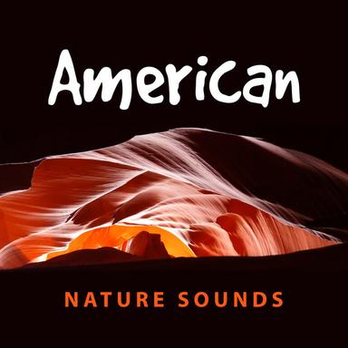Calming Sounds