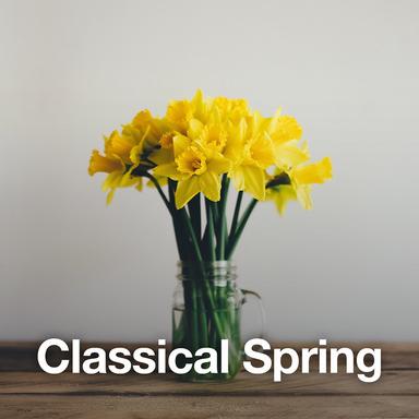 Concerto For Violin And Strings In E, Op. 8, No. 1, RV 269 "La Primavera" - Arr. for Recorder: 1. Allegro