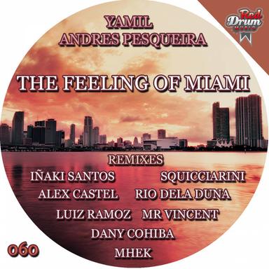The Feeling Of Miami - Dany Cohiba Remix
