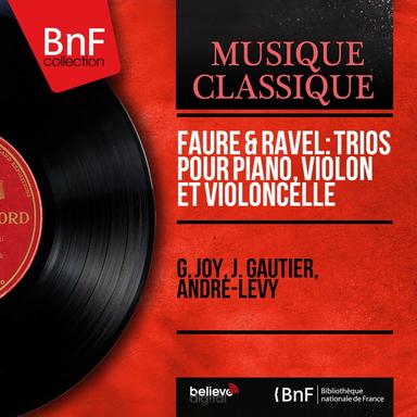 Trio pour piano, violon et violoncelle in D Minor, Op. 120: I. Allegro non troppo