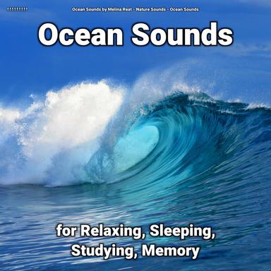 Ocean Sounds for Calming Baby