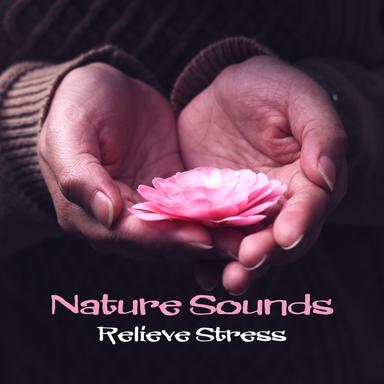 Chilled Music