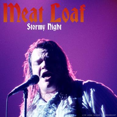 You Took The Words Right Out Of My Mouth (hot Summer Night)
