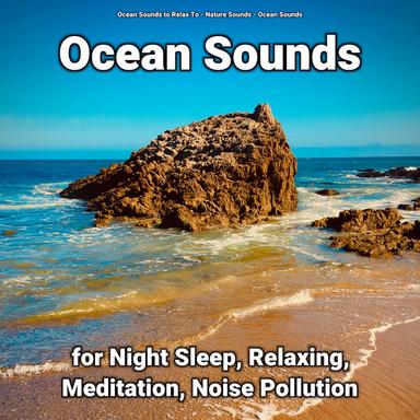 Ocean Sounds for Learning