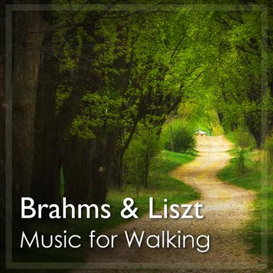 8 Piano Pieces, Op. 76: 5. Capriccio in C sharp minor