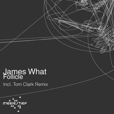 Follicle - Tom Clark Remix