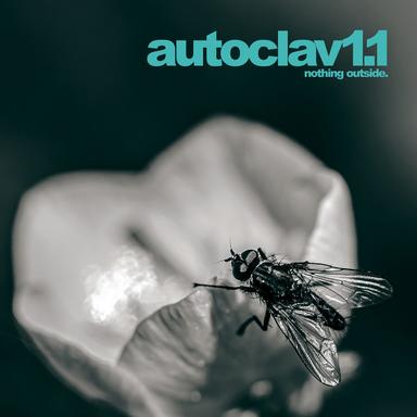 A1