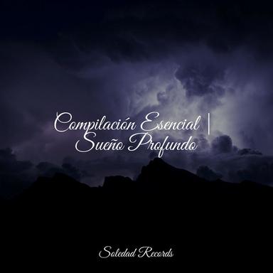 Canción De Armonía