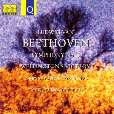 Symphony No. 5 in C Minor, Op. 67: II. Andante con moto
