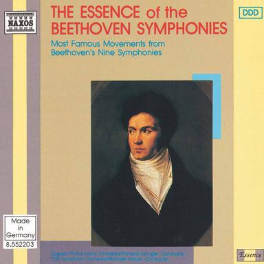 Symphony No. 9 in D Minor, Op. 125 "Choral": Symphony No. 9 in D Minor, Op. 125, "Choral": IV. Finale. Presto - Allegro assai (excerpt)