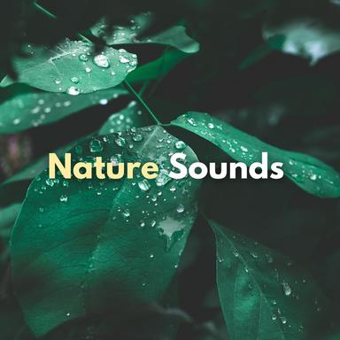 Nature Sounds