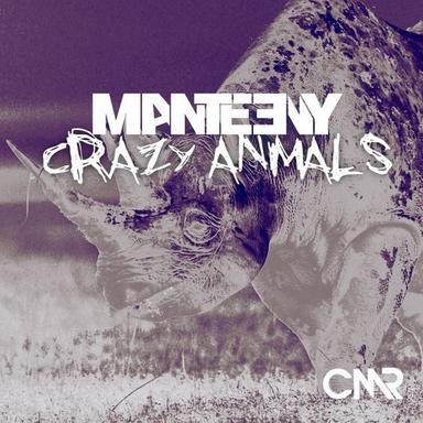 Crazy Animals - Original Mix