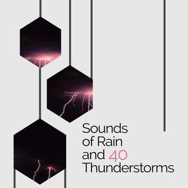 Soft Steady Rain