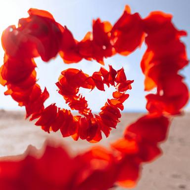 Salut d'amour, Op. 12