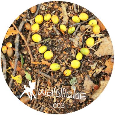 Waldspaziergang - Original