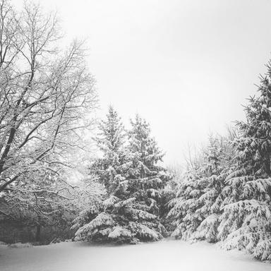 A Dash of Christmas