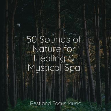 Woodwind Relaxations