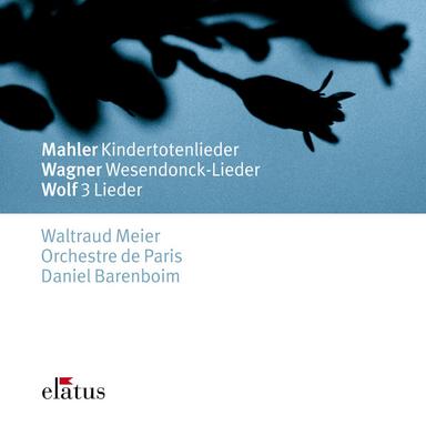 Mahler: Kindertotenlieder: No. 2, Nun seh' ich wohl, warum so dunkle Flammen