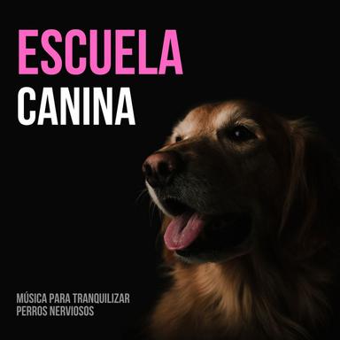 Relajación Profunda