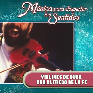 Pedacito de Mi Vida