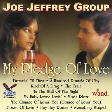 My Pledge Of Love
