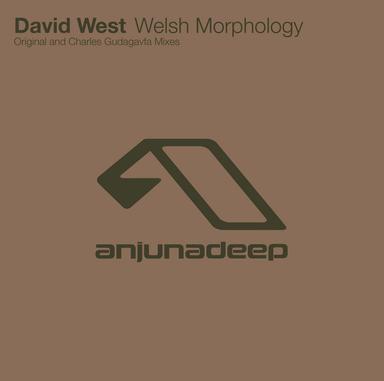 Welsh Morphology - Original Mix