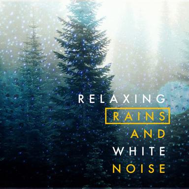 Rain and Birdsong