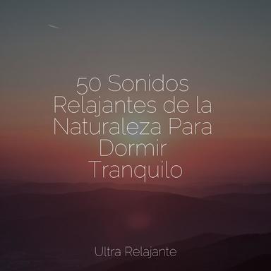 Templos en Crepúsculo