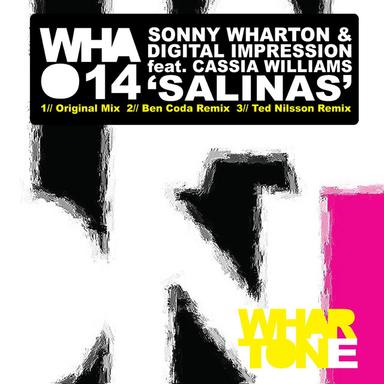 Salinas - Original Mix