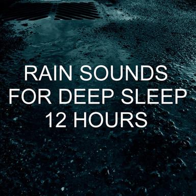 Rain Sounds 8 Hours