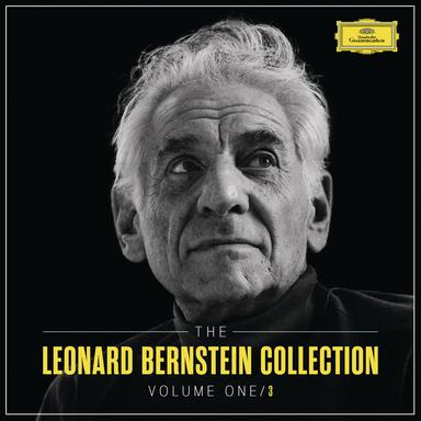 Piano Concerto No. 2 in B-Flat Major, Op. 83: II. Allegro appassionato - Live at Musikverein, Vienna, 1984