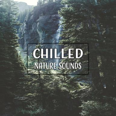 Ambient Music