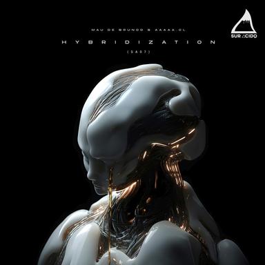 Orbital