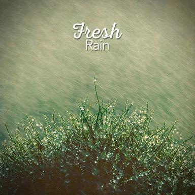 Peaceful Rainfall