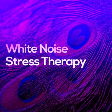 Noise Wave