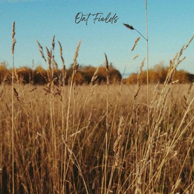 Oat Fields