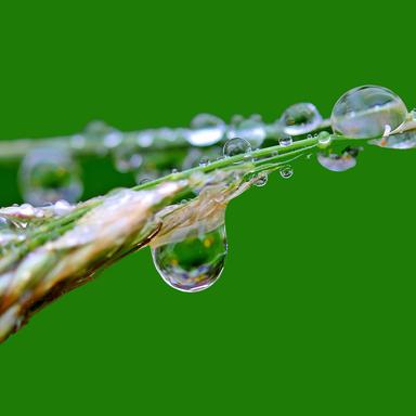Sporadic Splashes