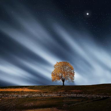 Harmony