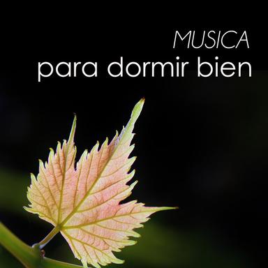 Dormir Bien