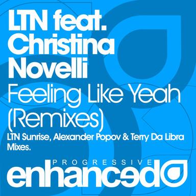 Feeling Like Yeah - Terry Da Libra Remix