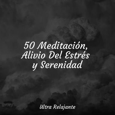 Armonías Relajantes