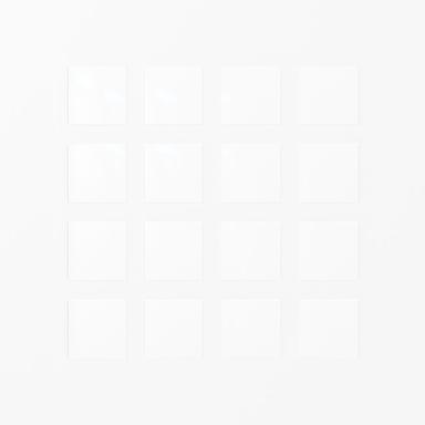The Witness