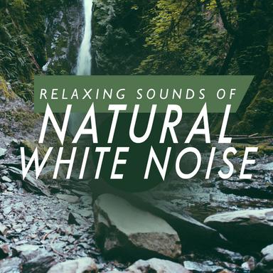 Whitenoise: Dual Fans