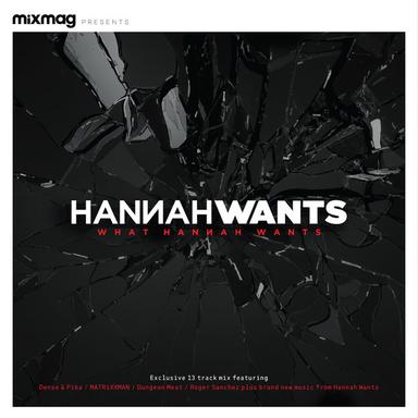 Remember Me - Hannah Wants Remix