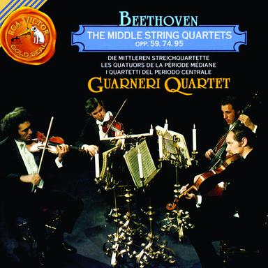 String Quartet No. 9 in C Major, Op. 59, No. 3: II. Andante con moto quasi allegretto